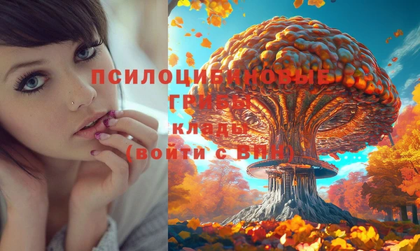 дживик Володарск