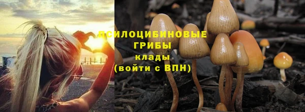 дживик Володарск