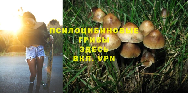 дживик Володарск