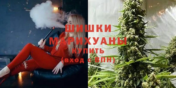 дживик Володарск