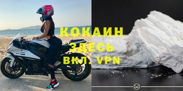 дживик Володарск