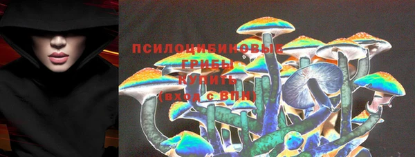 дживик Володарск